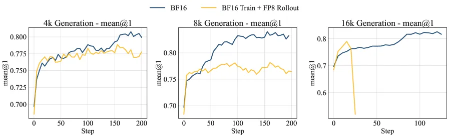 BF16-FP8 Rollout失败