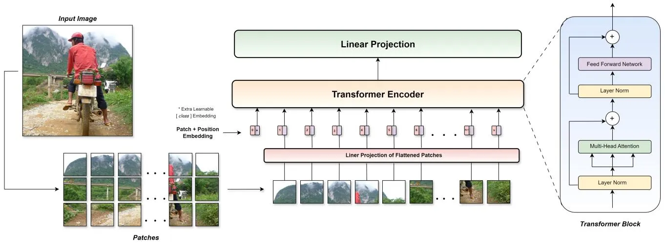 Figure 5: Vision Transformer架构