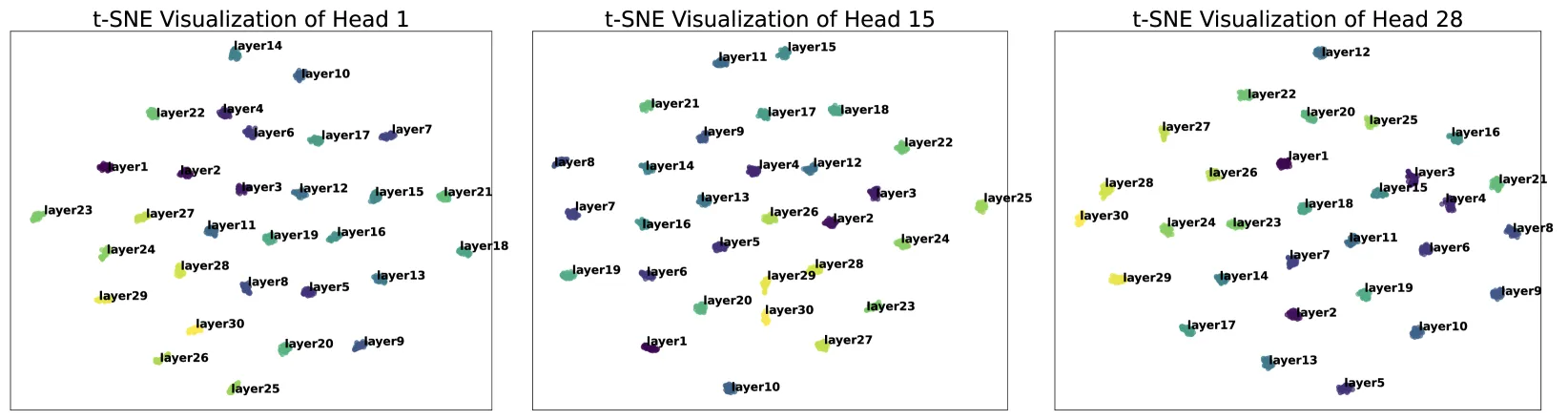 t-SNE 可视化